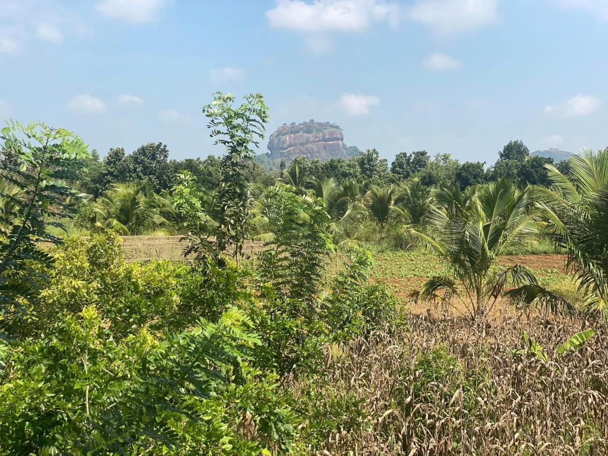 Chena Huts Eco Resort Sigiriya Exterior photo