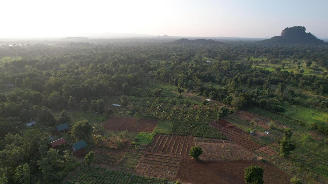 Chena Huts Eco Resort Sigiriya Exterior photo
